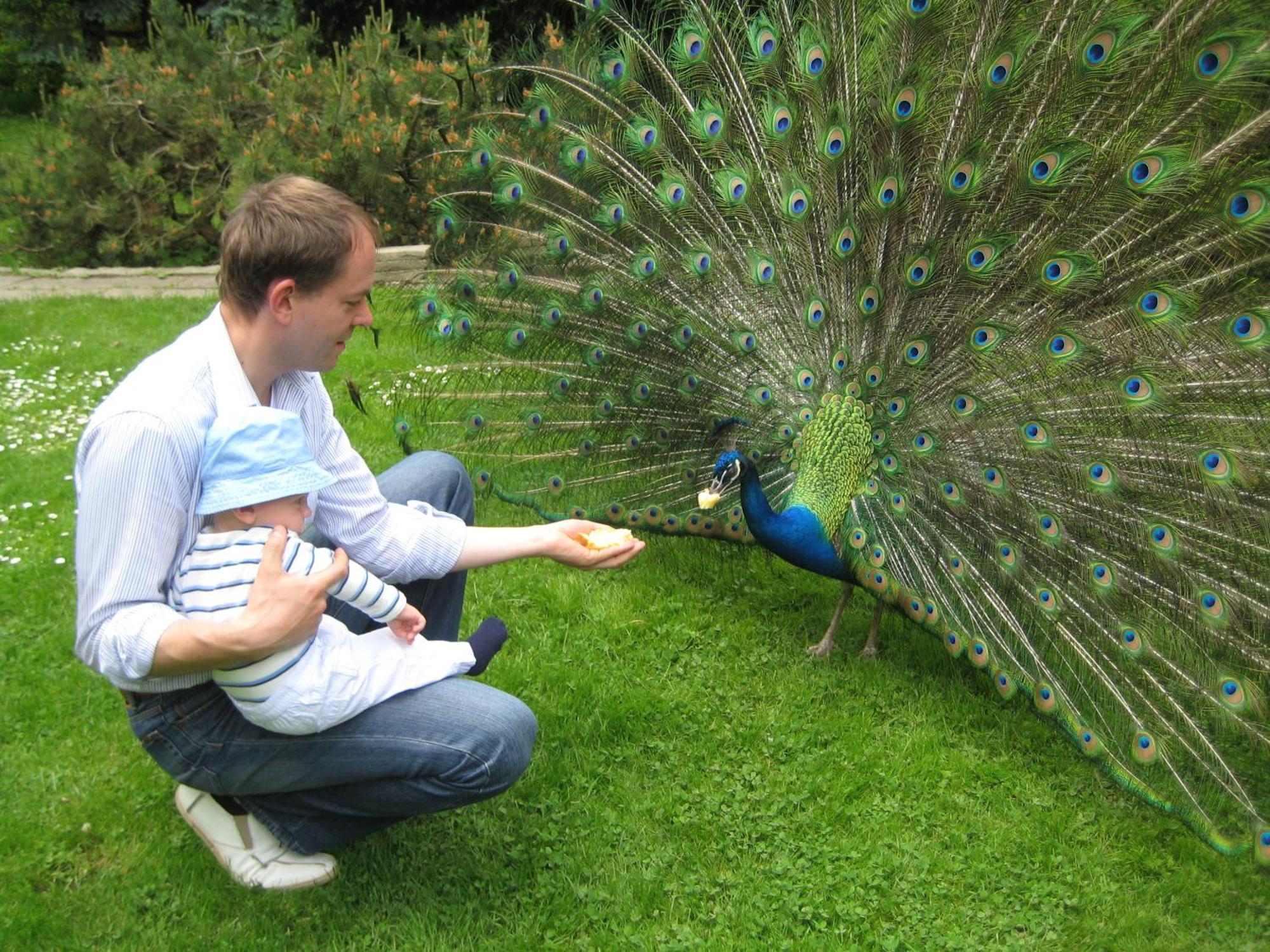 Harzer Feriengarten Quedlinburg Bagian luar foto