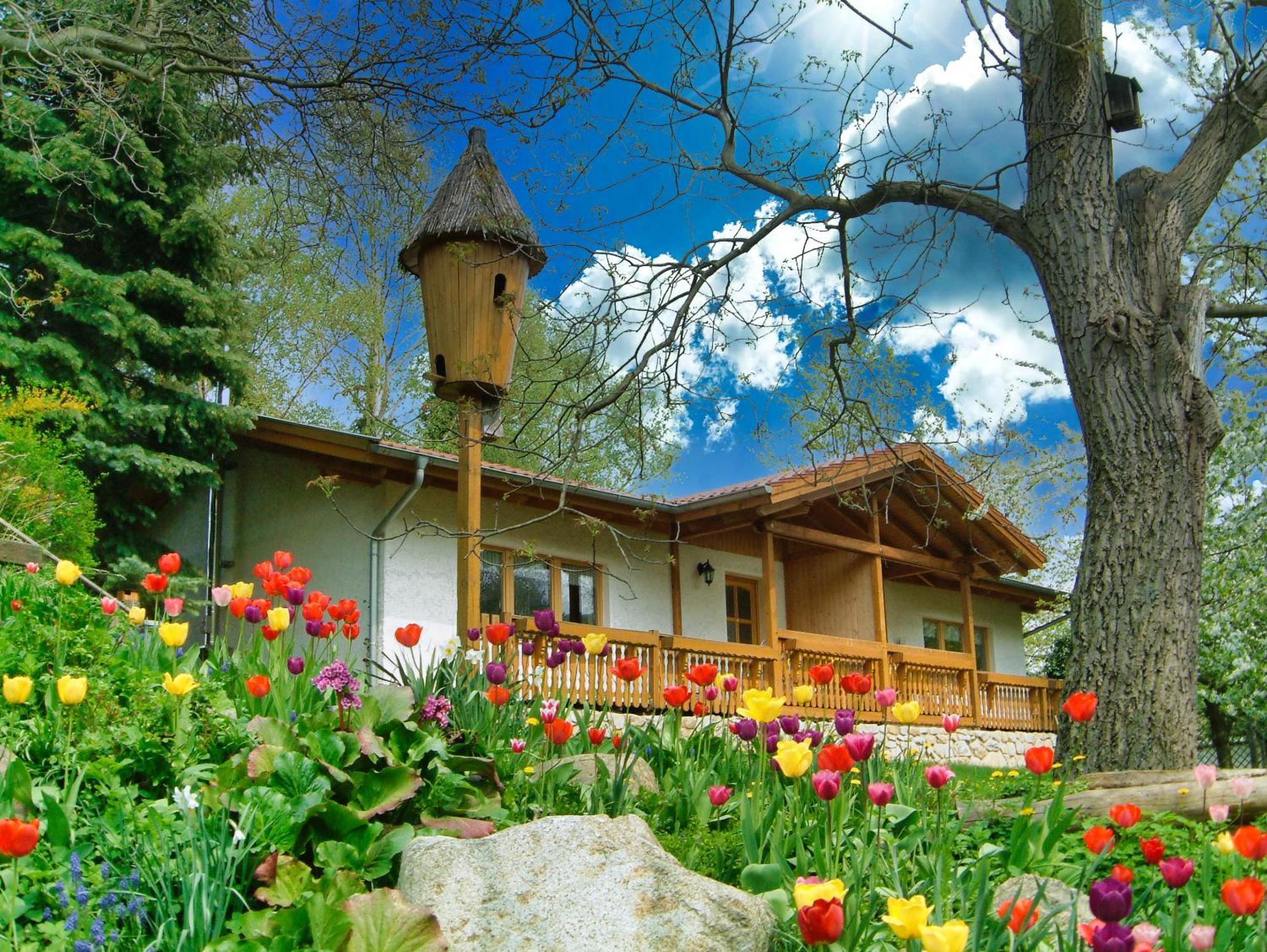 Harzer Feriengarten Quedlinburg Bagian luar foto